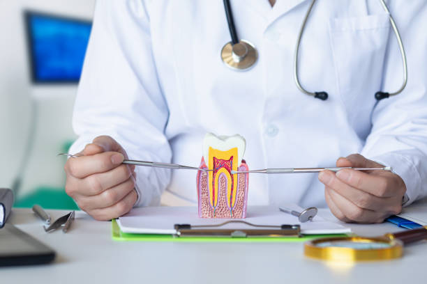 Best Emergency Dental Care for Abscessed Tooth in Hawley, PA